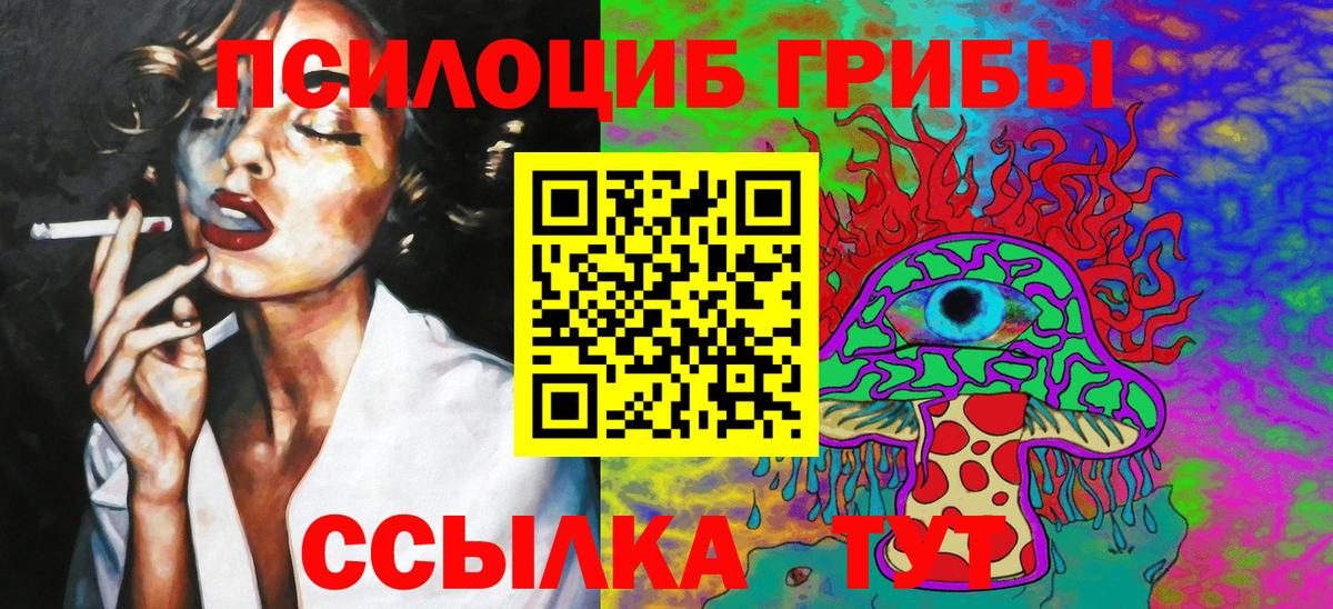 что такое   Галлюциногенные грибы мицелий  Псилоцибиновые грибы прущие грибы  Вход с VPN  Красноярск 